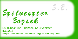 szilveszter bozsek business card